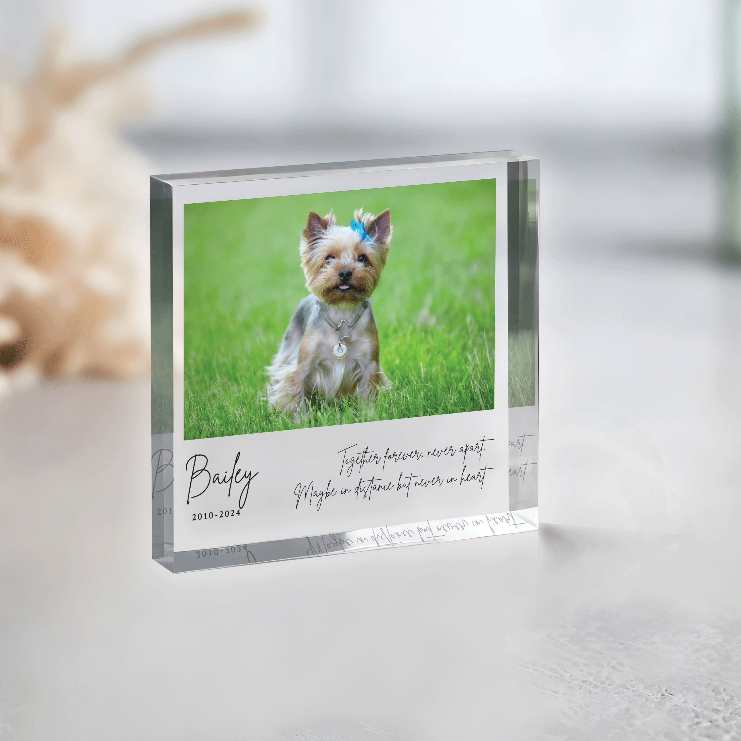 Square-Plaque---Pet-Memorial_0000_Group-5 Pet Memorial Photo Plaque, Personalized Pet Memorial Gift