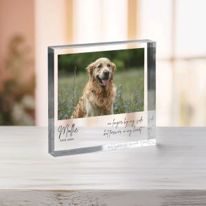 Pet Memorial Photo Plaque, Personalized Pet Memorial Gift