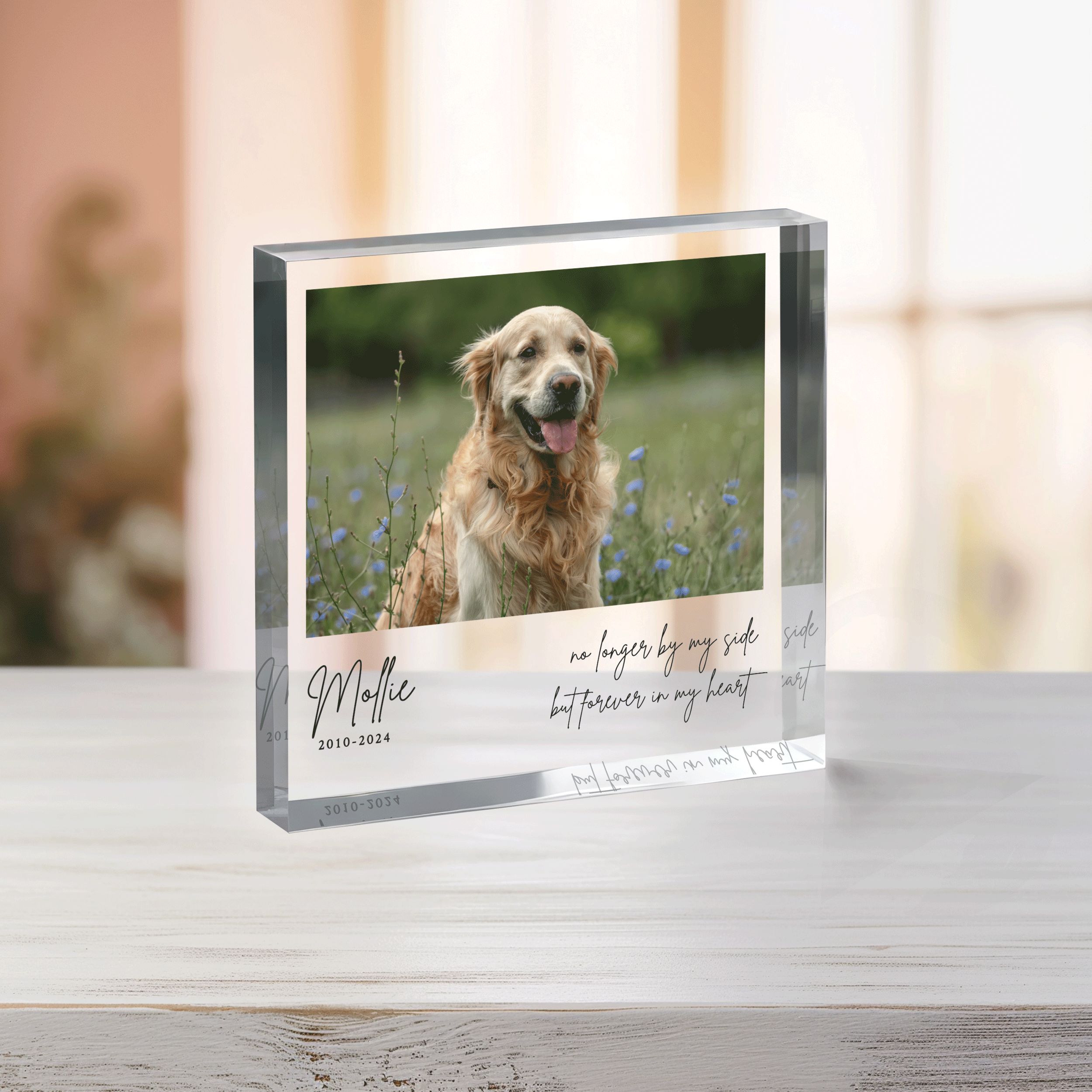 Square-Plaque---Pet-Memorial_0000_Group-8 Pet Memorial Photo Plaque, Personalized Pet Memorial Gift