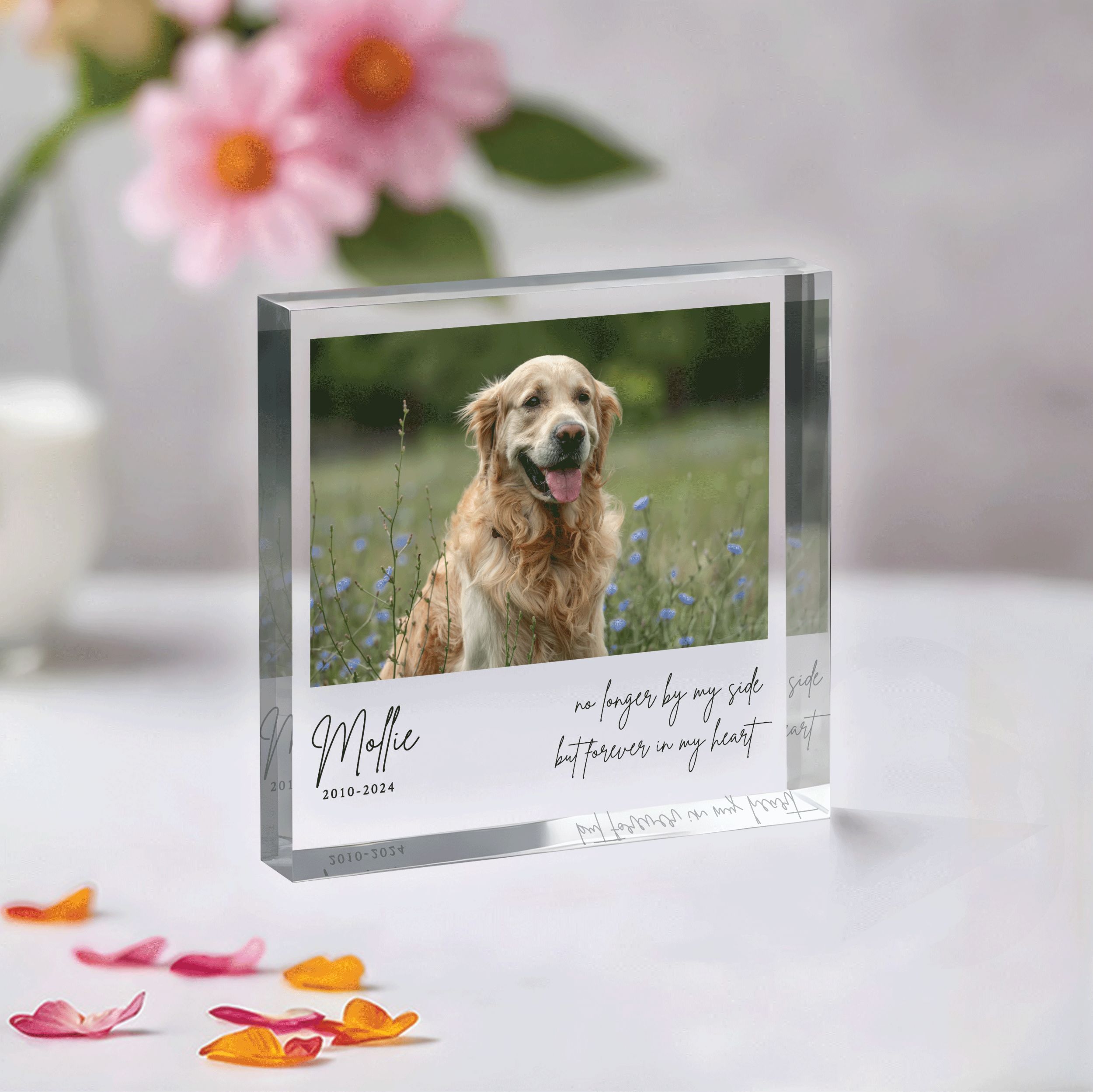 Square-Plaque---Pet-Memorial_0001_Group-6 Pet Memorial Photo Plaque, Personalized Pet Memorial Gift