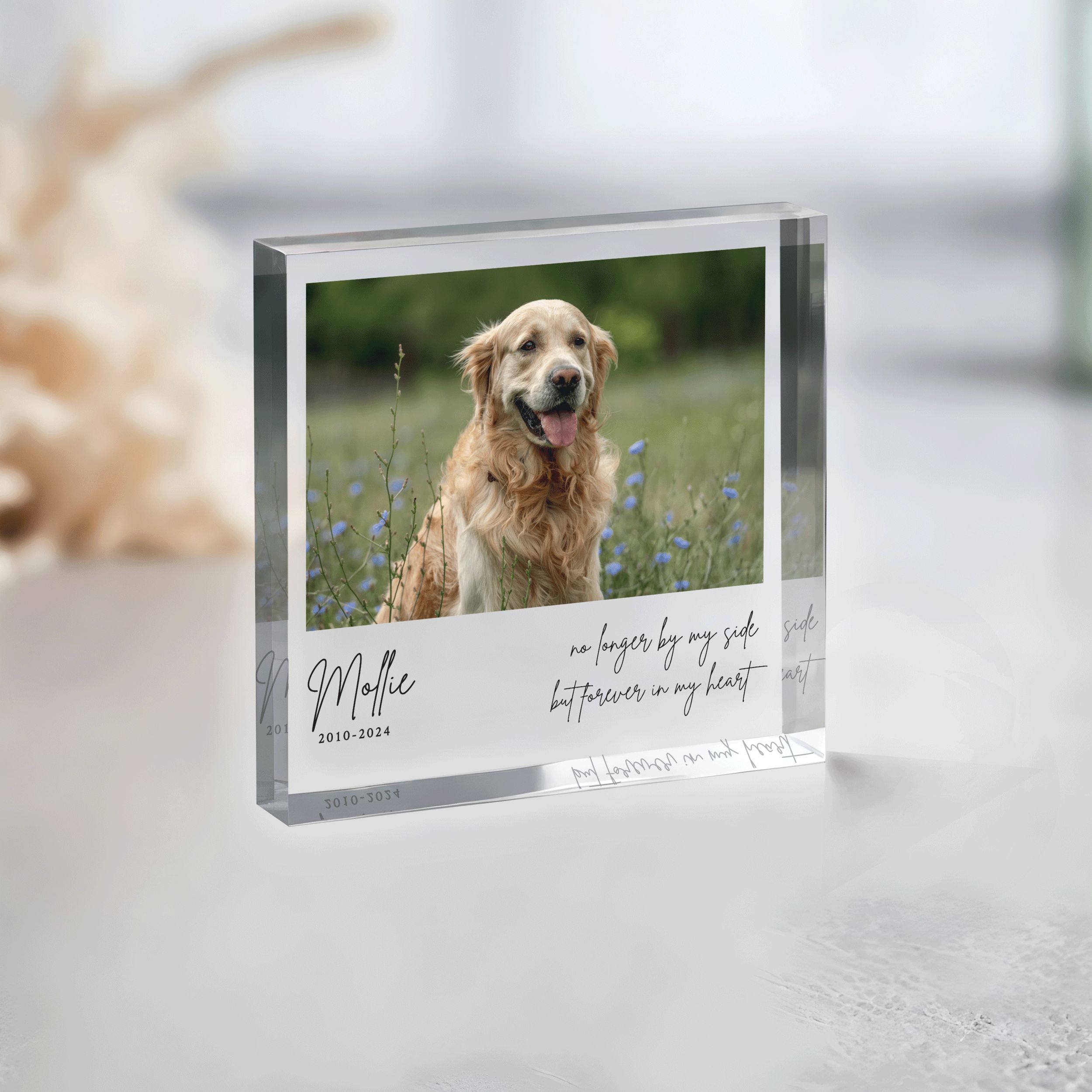 Square-Plaque---Pet-Memorial_0002_Group-5 Pet Memorial Photo Plaque, Personalized Pet Memorial Gift
