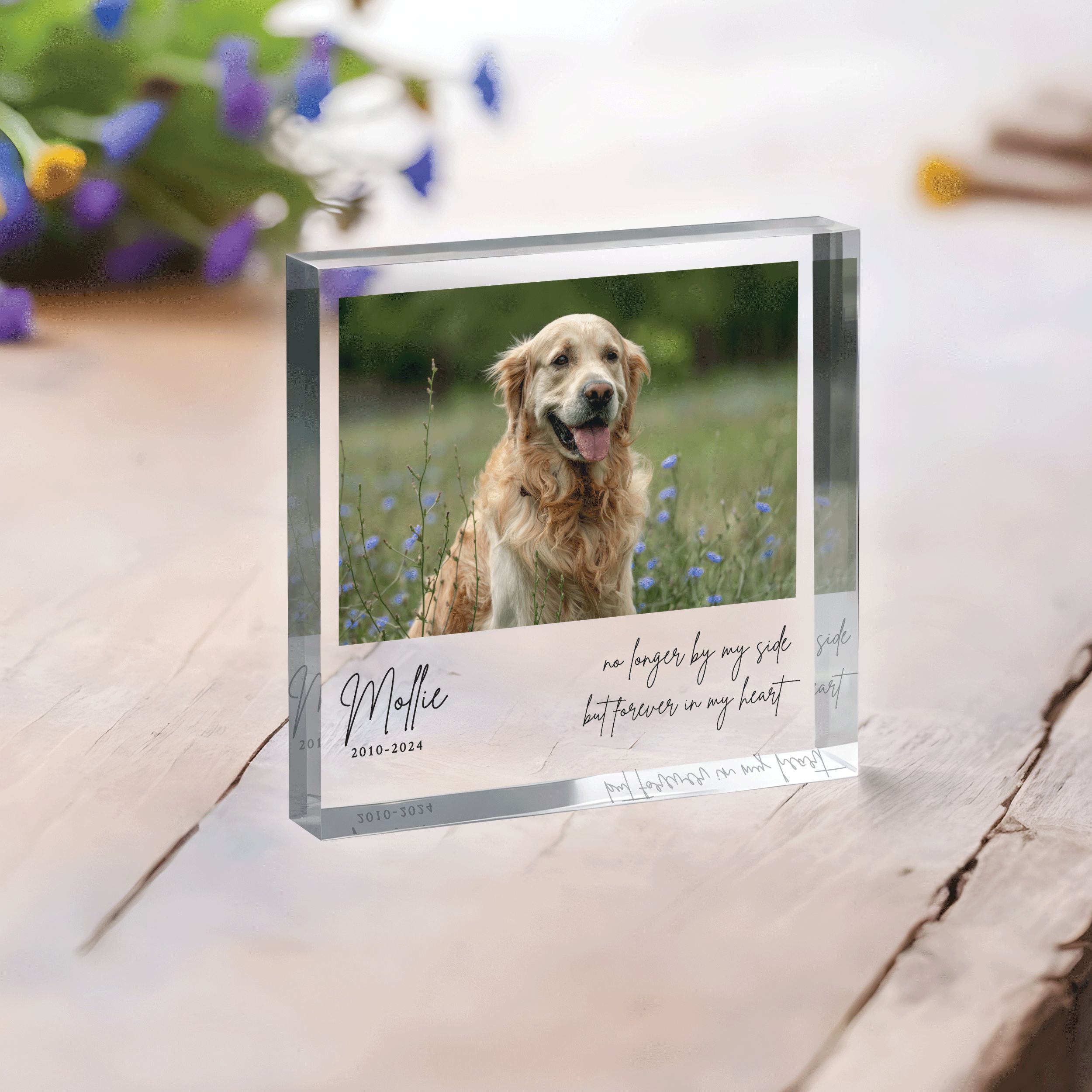 Square-Plaque---Pet-Memorial_0006_Group-1 Pet Memorial Photo Plaque, Personalized Pet Memorial Gift